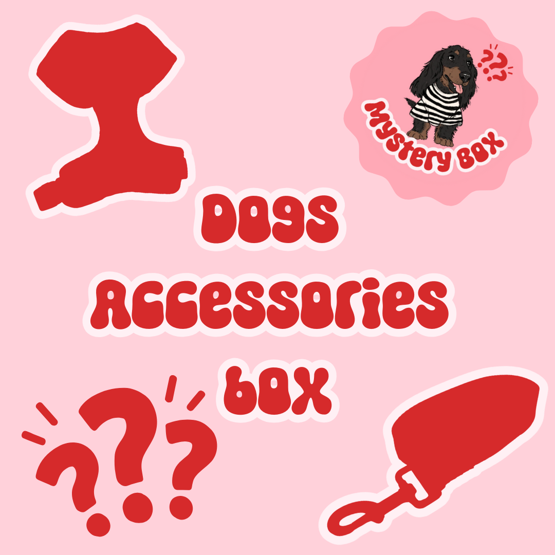 Dogs Accessories Mystery Box