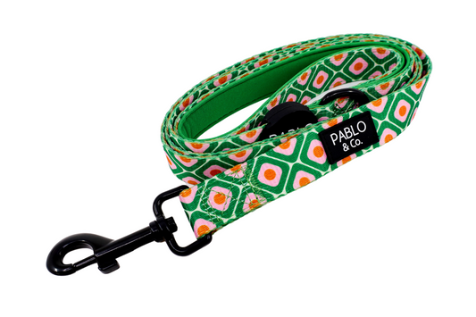 70's Style: Dog Leash