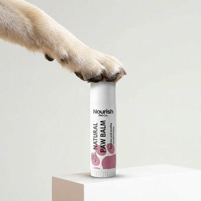Nourish Pet Co: Natural Paw Balm