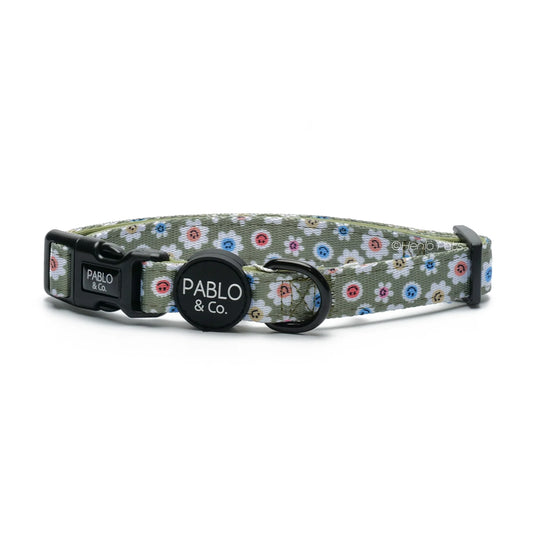 Smiley Flowers: Collar