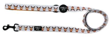 Rudolph: Dog Leash