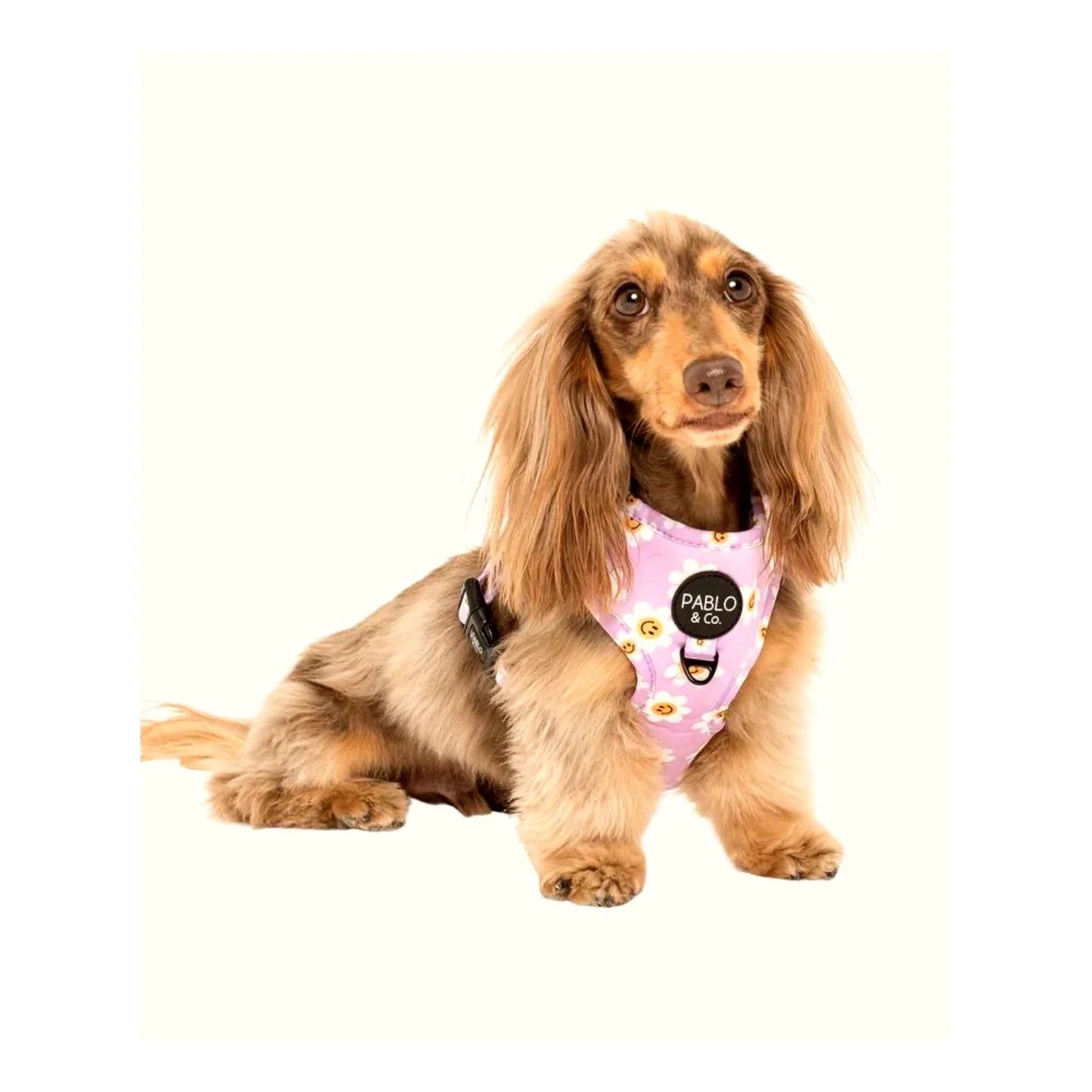 Lilac Smiley Flowers: Adjustable Harness