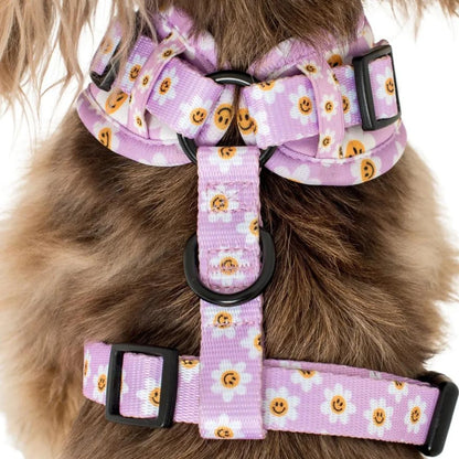 Lilac Smiley Flowers: Adjustable Harness