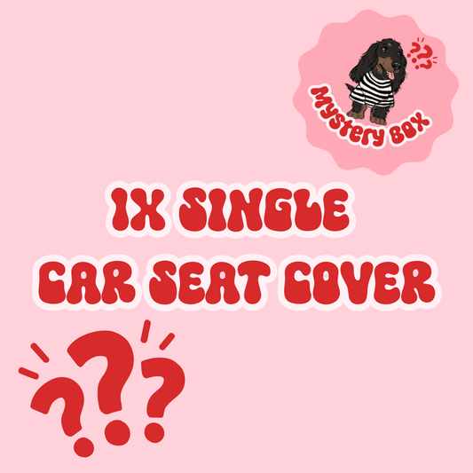 The Mystery Single Car Seat Cover