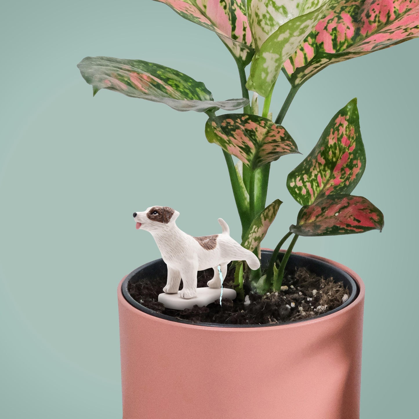Pee My Plants: Dog Watering Decoration