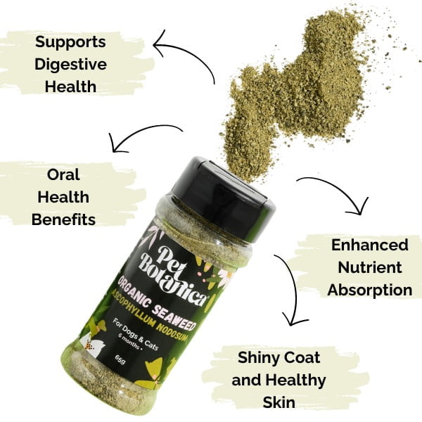 Pet Botanica: Organic Seaweed Meal Topper