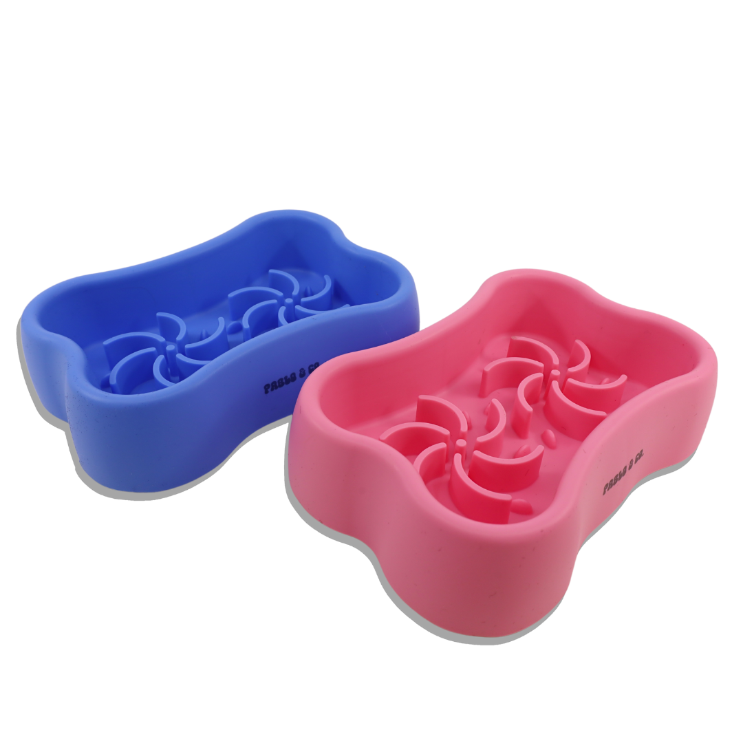 Puzzle Slow Feeder Bone Bowl