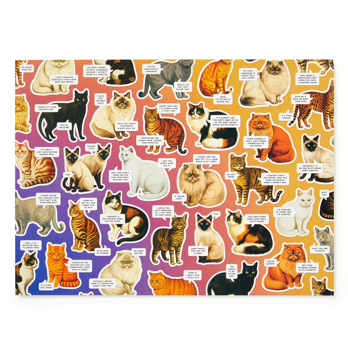 Moody Cats Puzzle 1000pc
