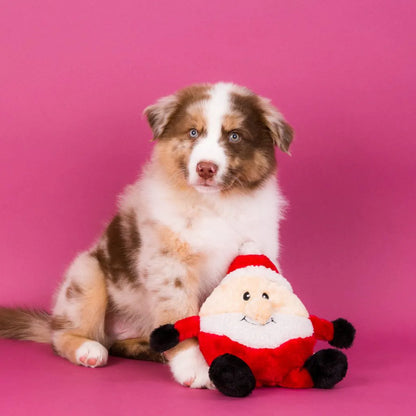 Zippy Paws: Holiday Brainey - Santa