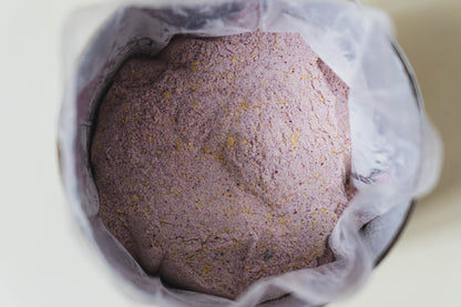 Dog Yog Shake: Blueberry Cheesecake