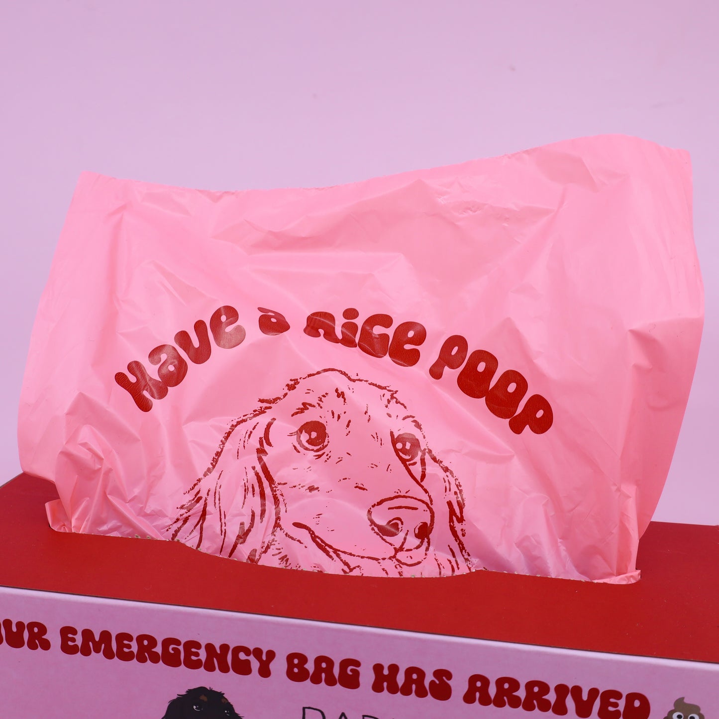 300 Premium Dog Poop Bags (Dispenser Box)