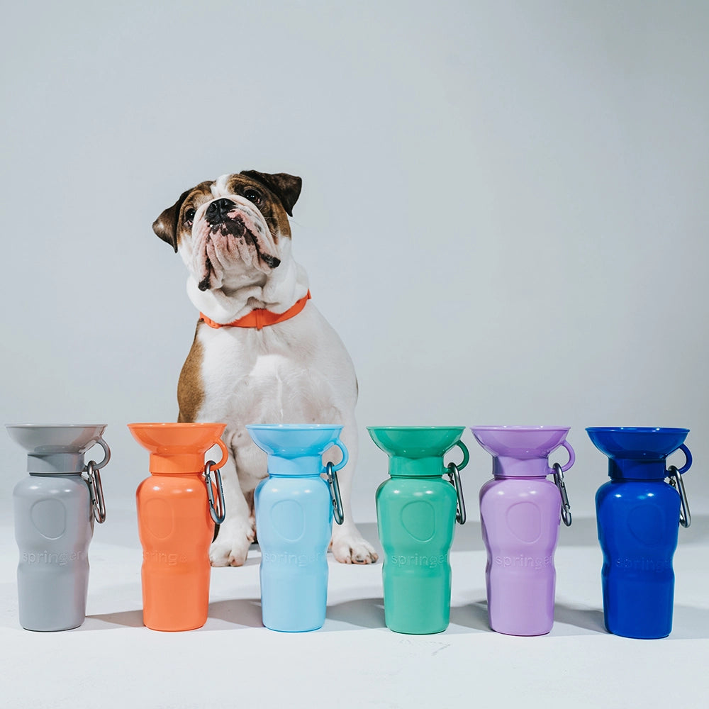 Highwave dog water bottle hotsell
