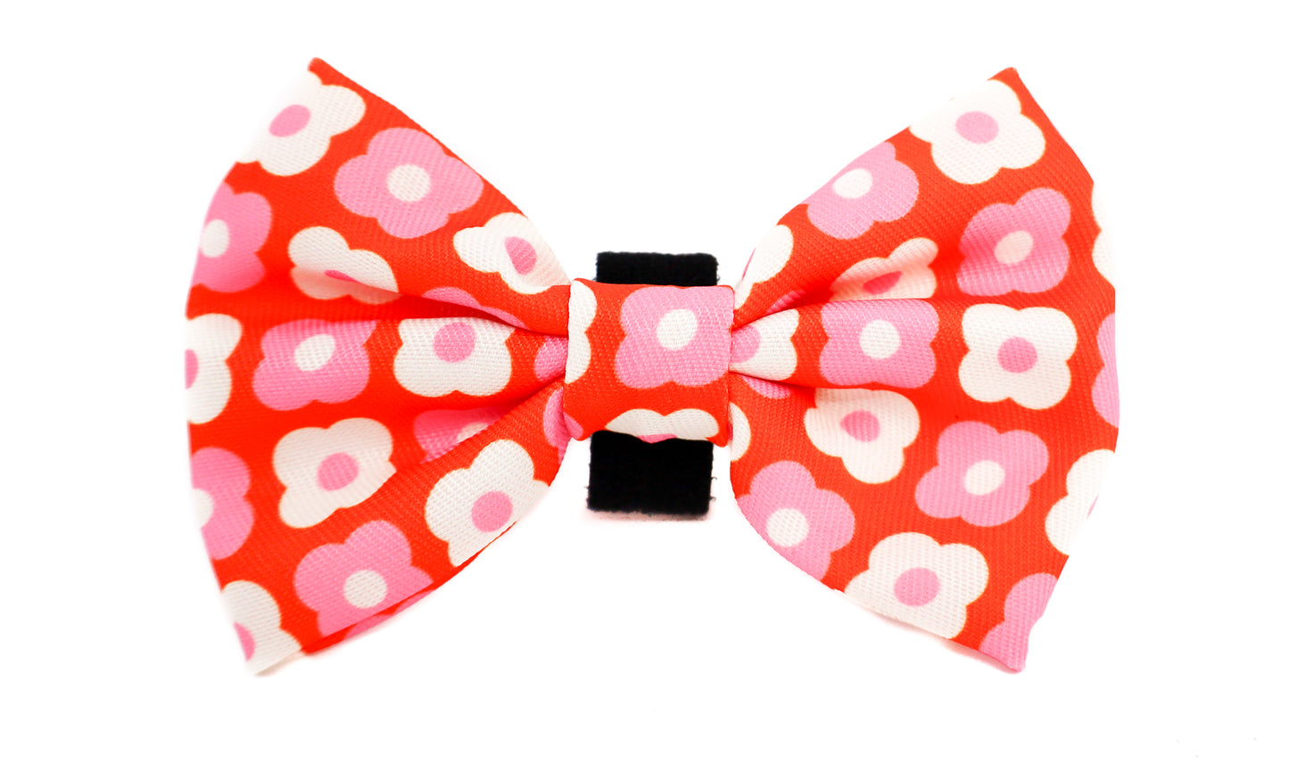 Pink Checkered Daisies: Bow Tie