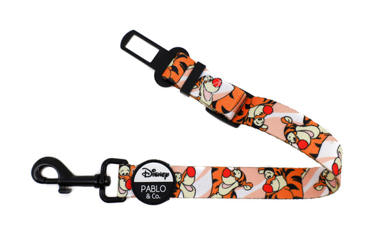 The One of a Kind Tigger: Car Restraint