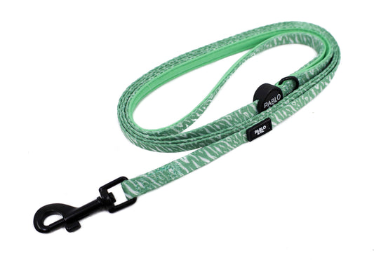 Green Zebra: Cat Leash