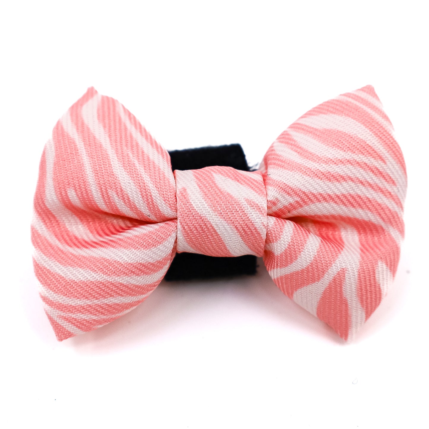 Pink Zebra: Cat Bow Tie