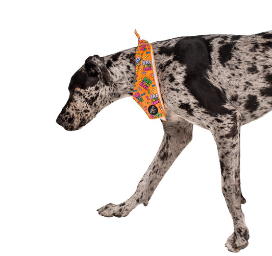 Bad to the Bone - Dog Bandana