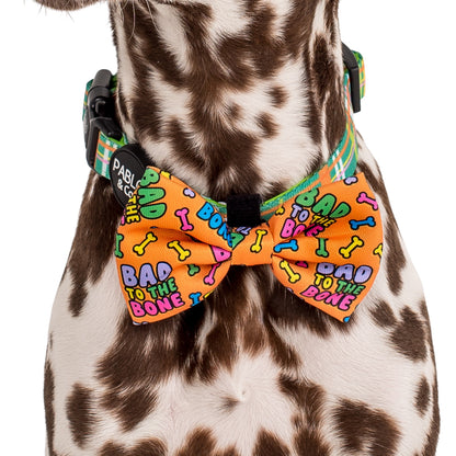 Bad to the Bone: Bow Tie