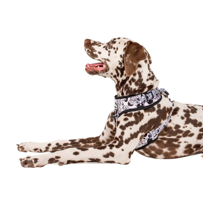 101 Dalmatians: Adjustable Harness