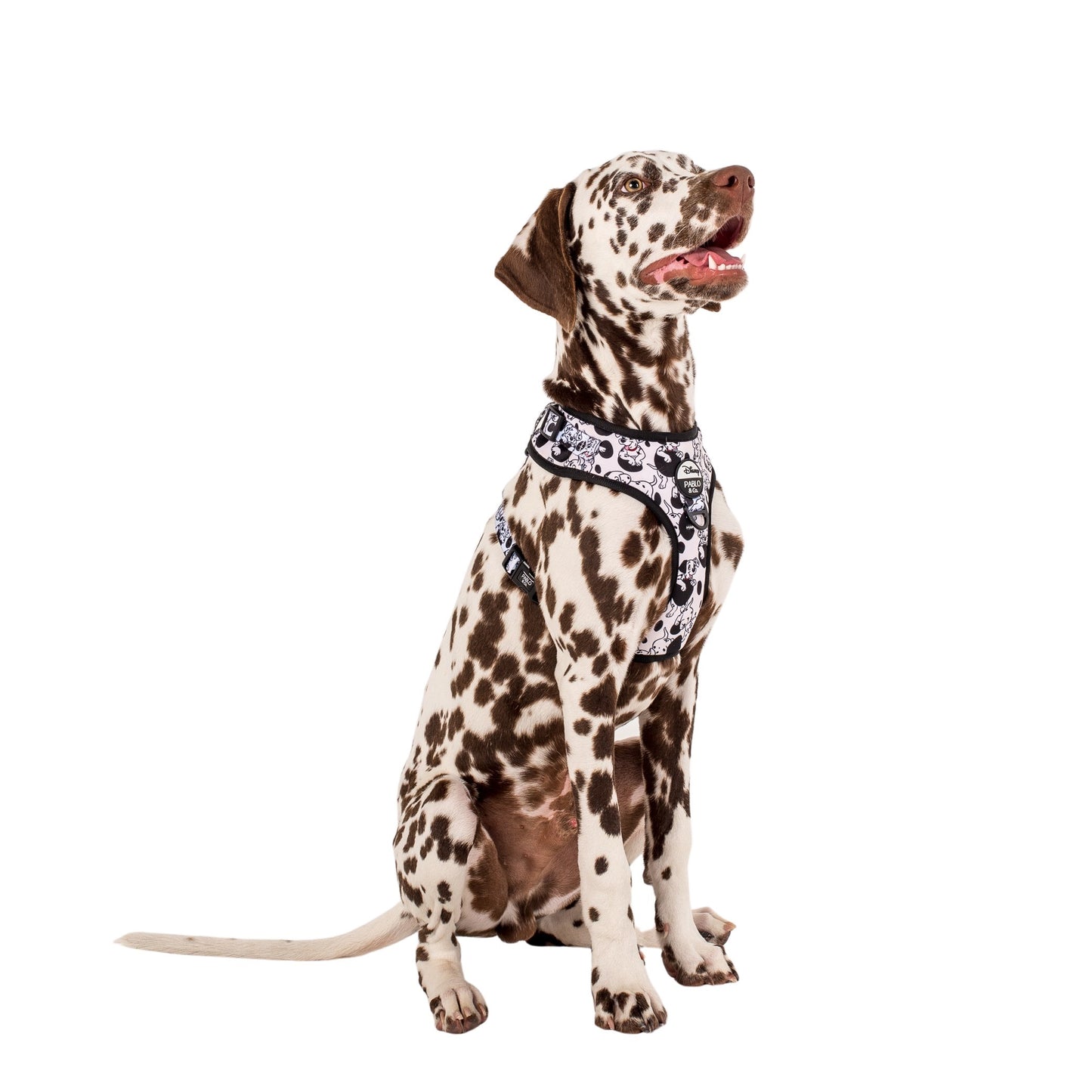 101 Dalmatians: Adjustable Harness