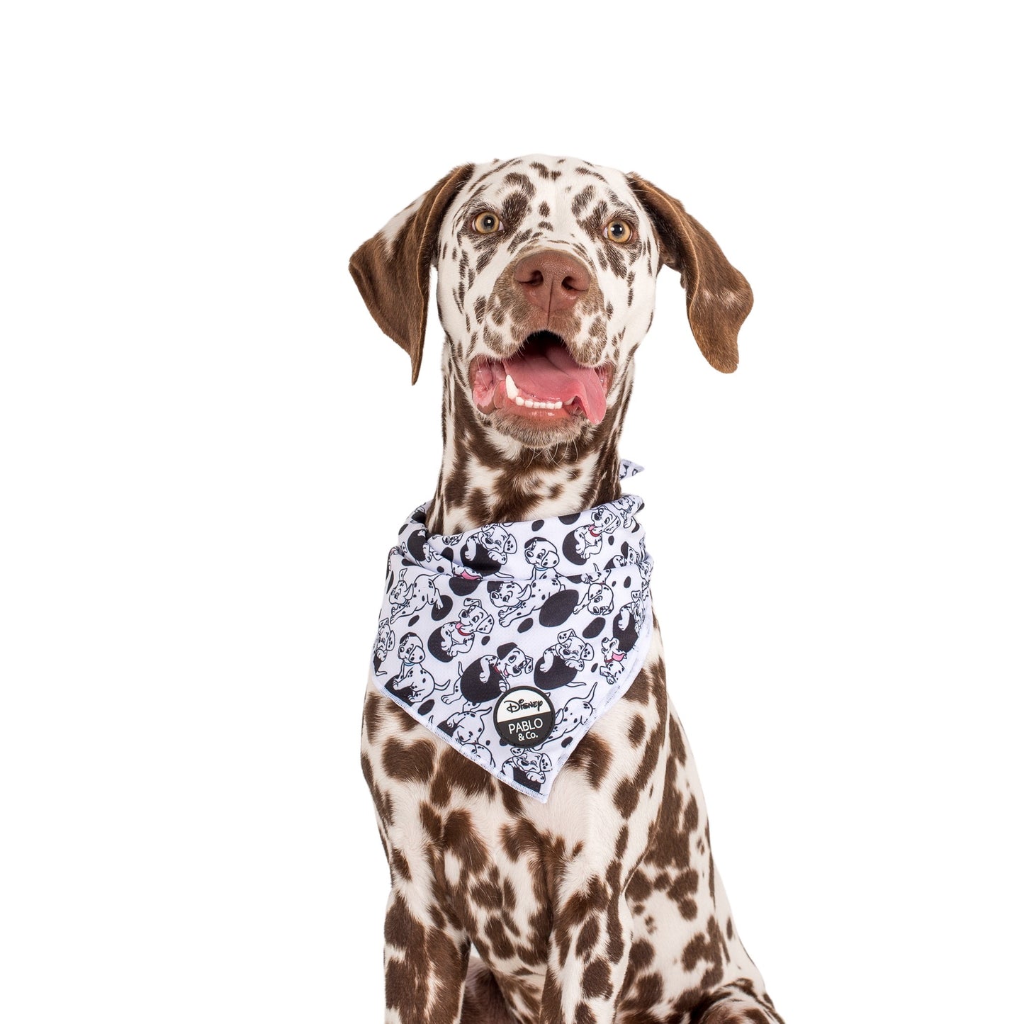 101 Dalmatians: Dog Bandana