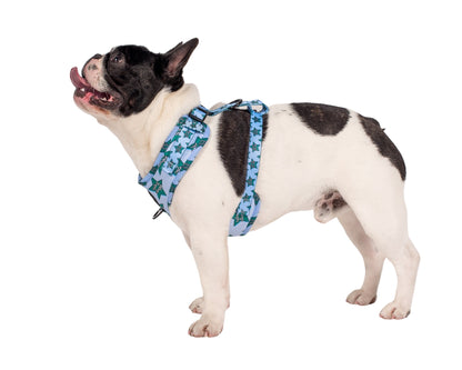 Cute & Clingy Stars: Adjustable Harness