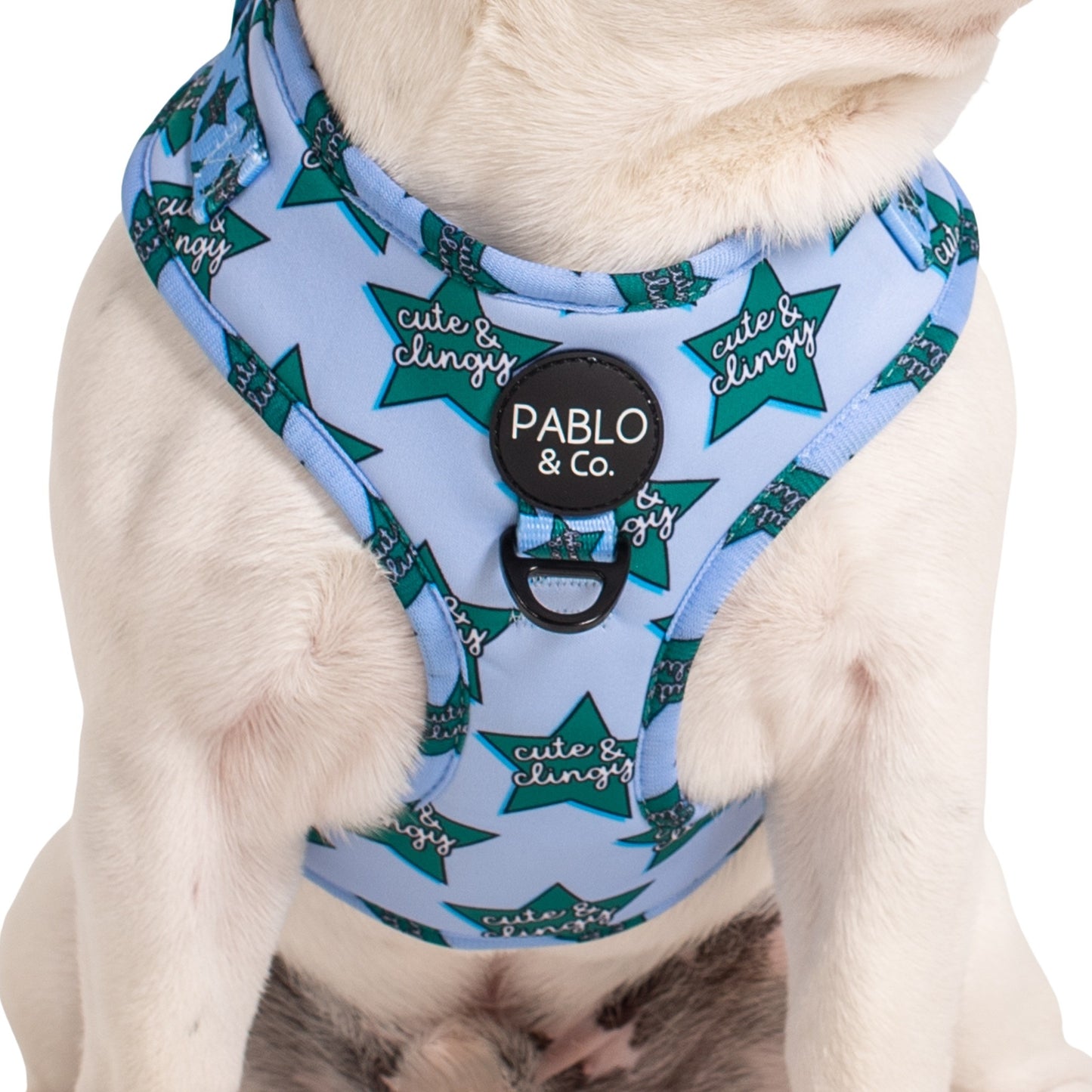 Cute & Clingy Stars: Adjustable Harness