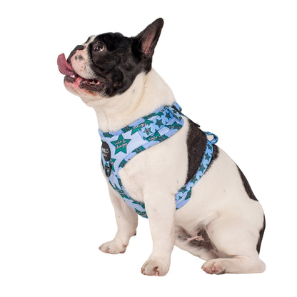 Cute & Clingy Stars: Adjustable Harness