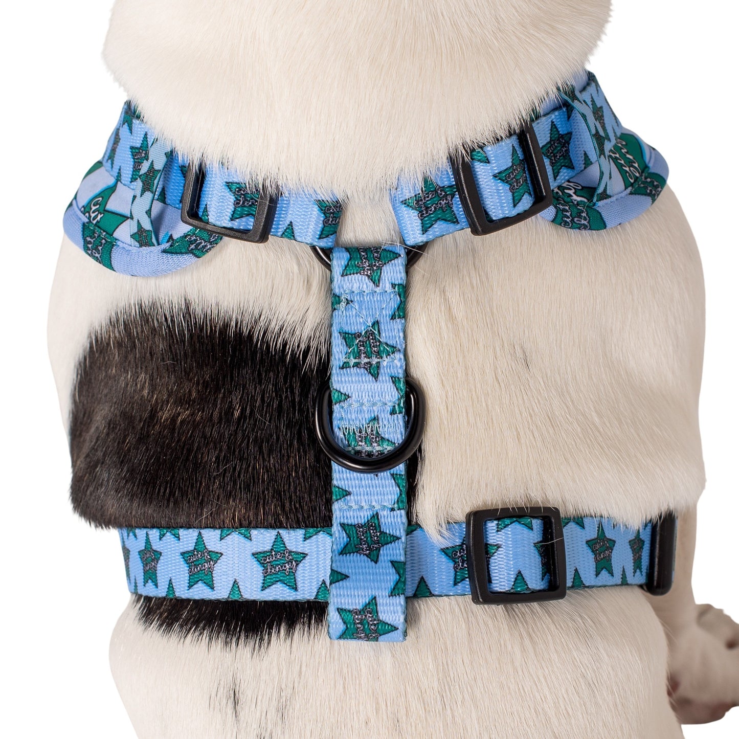 Cute & Clingy Stars: Adjustable Harness