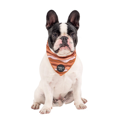 Espresso Swirls - Dog Bandana