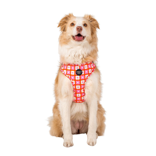 Pink Checkered Daisies: Adjustable Harness