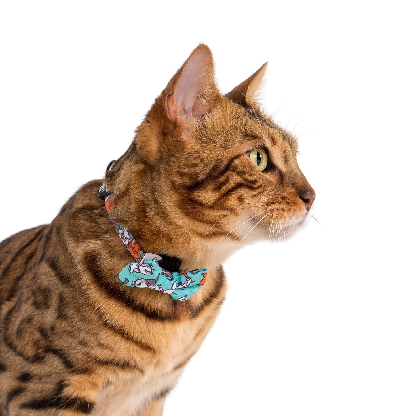 The Aristocats: Cat Bow Tie