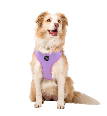 Lilac: Adjustable Harness