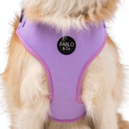 Lilac: Adjustable Harness