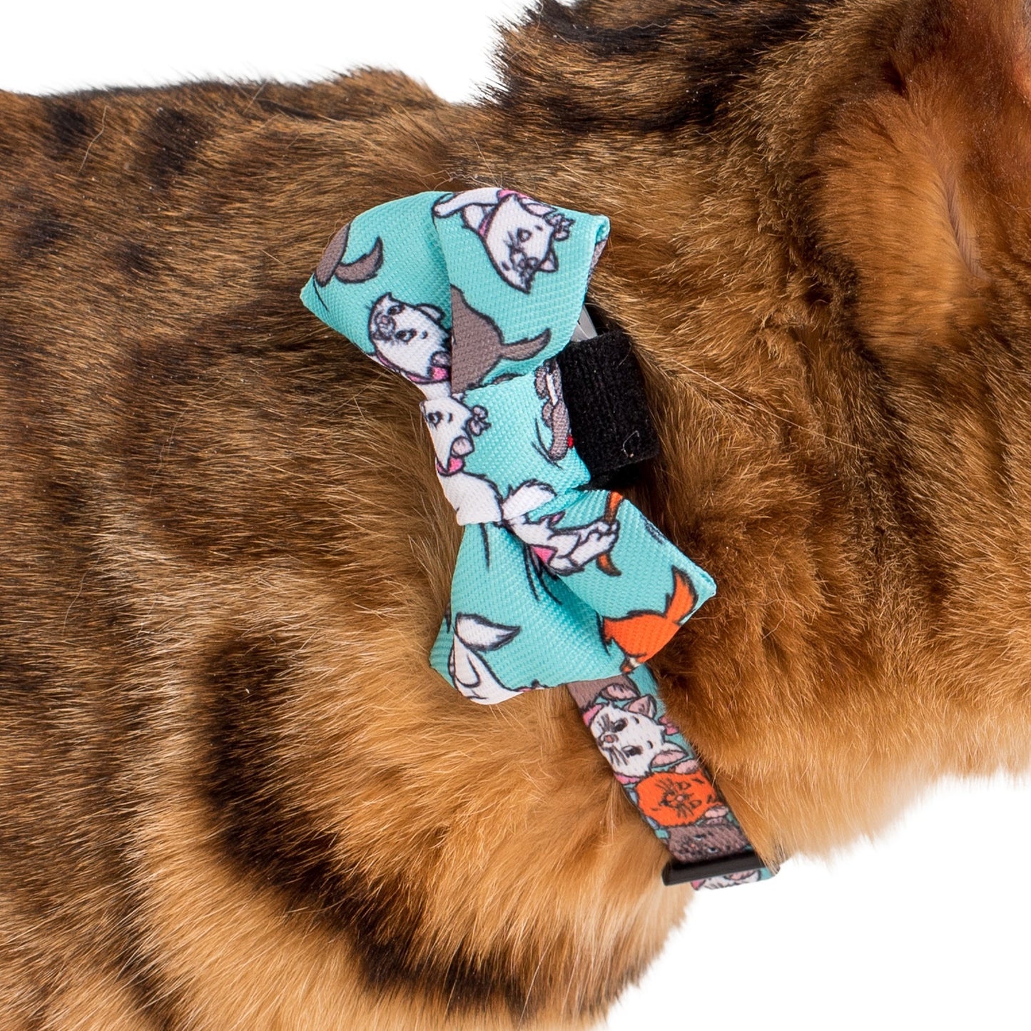 The Aristocats: Cat Bow Tie