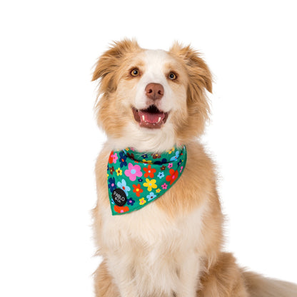 Funky Flowers - Dog Bandana