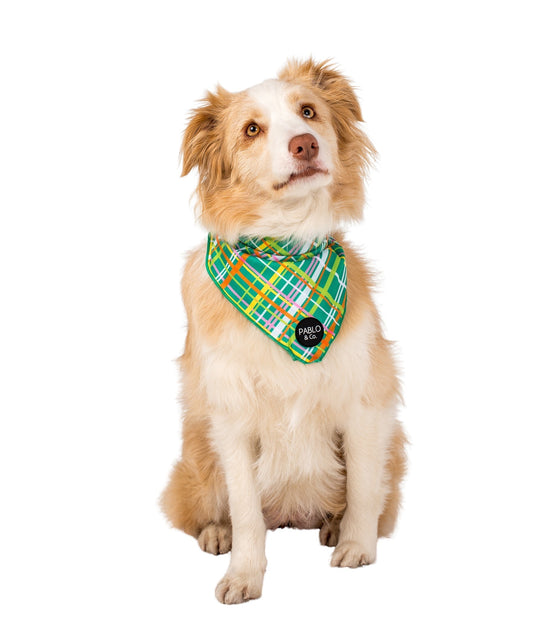 Groovy Grid - Dog Bandana