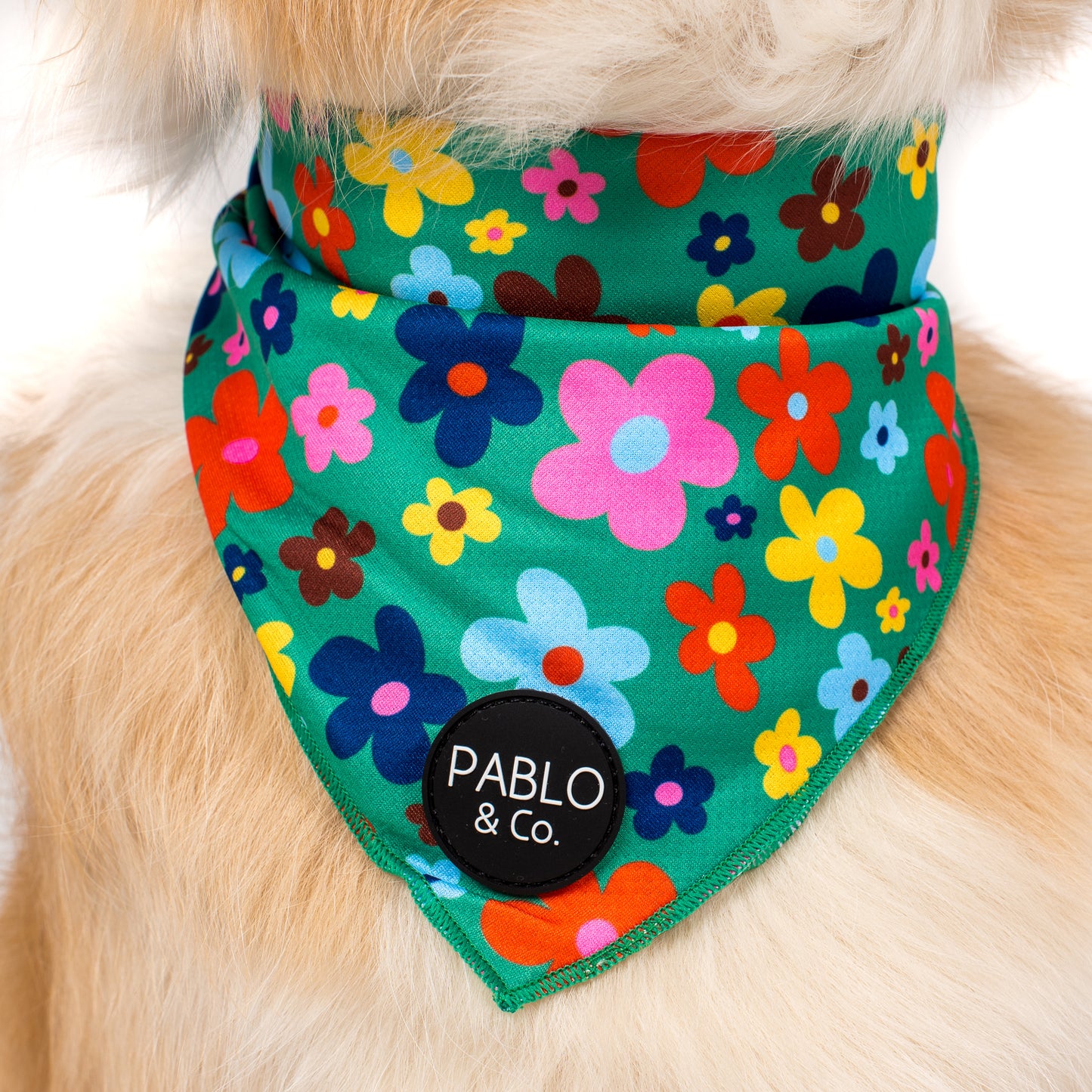 Funky Flowers - Dog Bandana