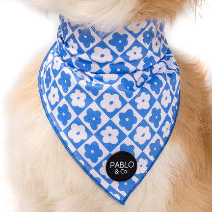 Blue Checkered Daisies - Dog Bandana