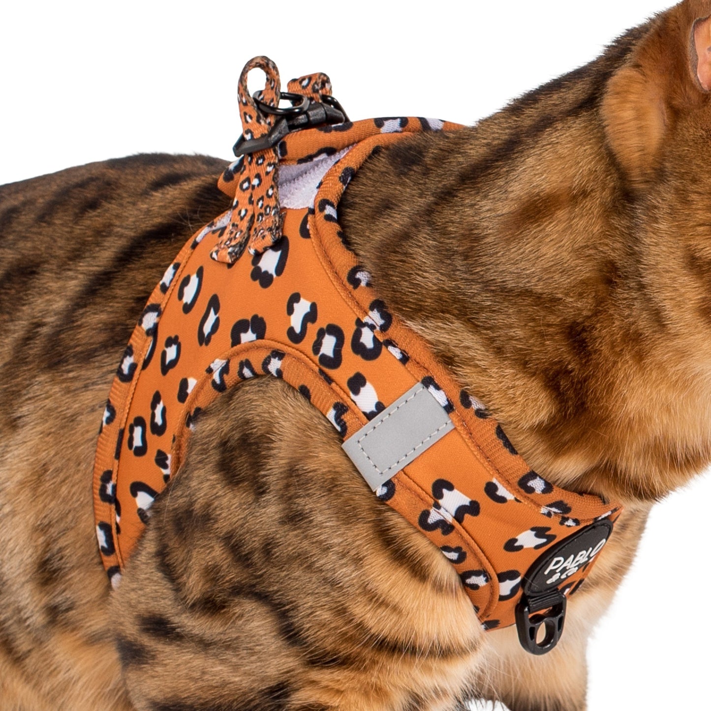 That Leopard Print: Step In Cat Harness