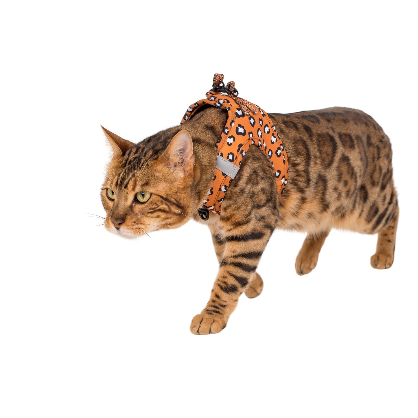 That Leopard Print: Step In Cat Harness