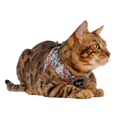 Wildflowers: Step In Cat Harness