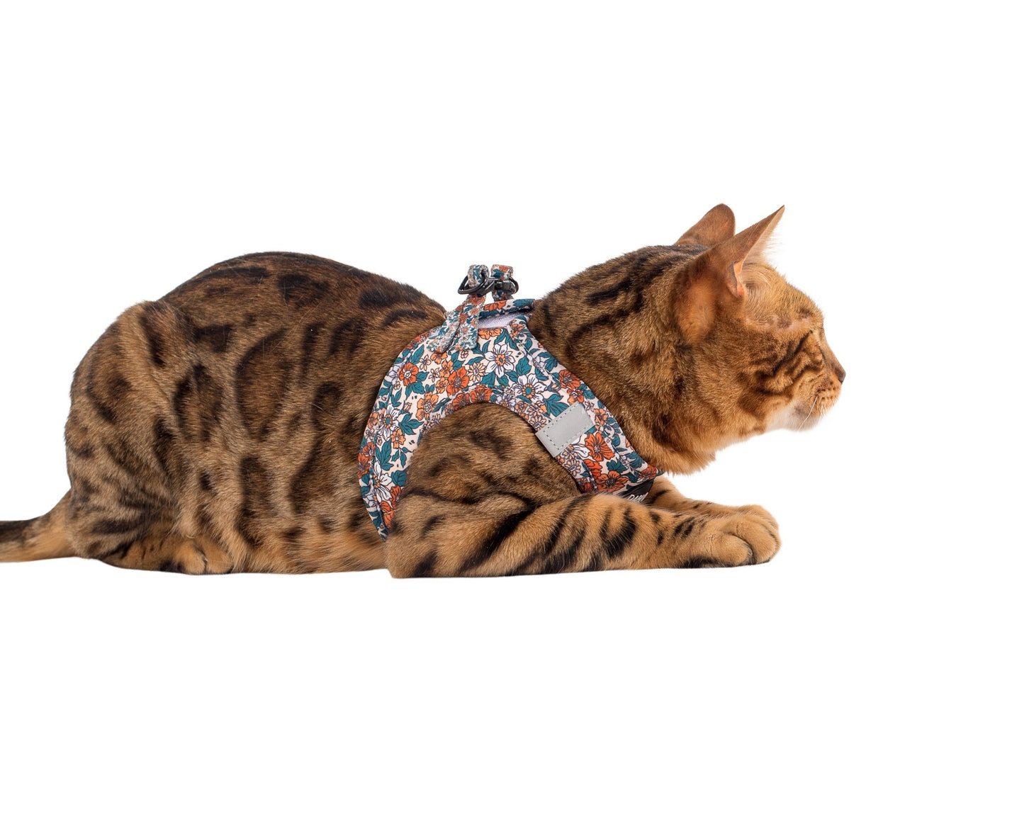 Wildflowers: Step In Cat Harness