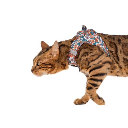 Wildflowers: Step In Cat Harness