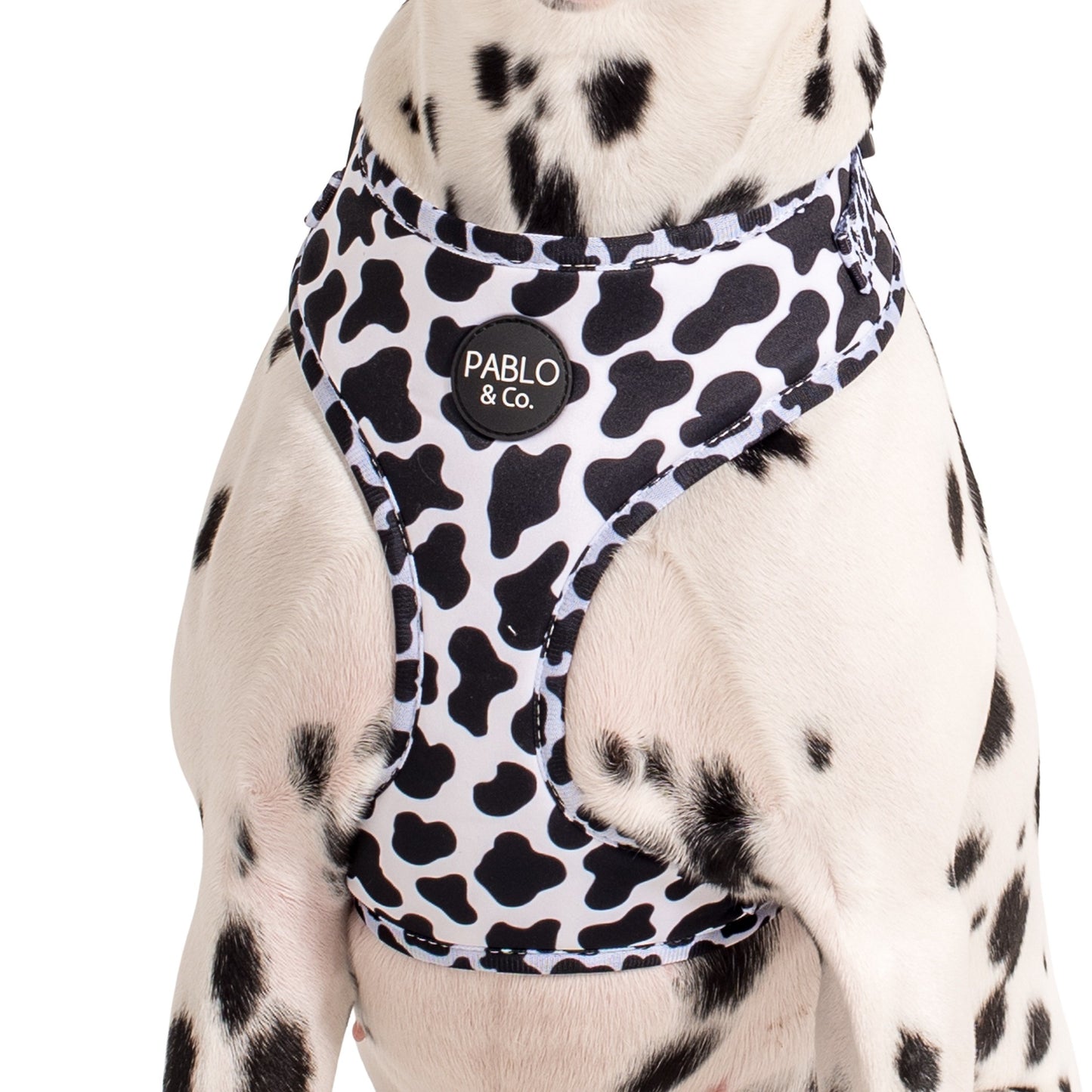 Moo Moo: Adjustable Harness