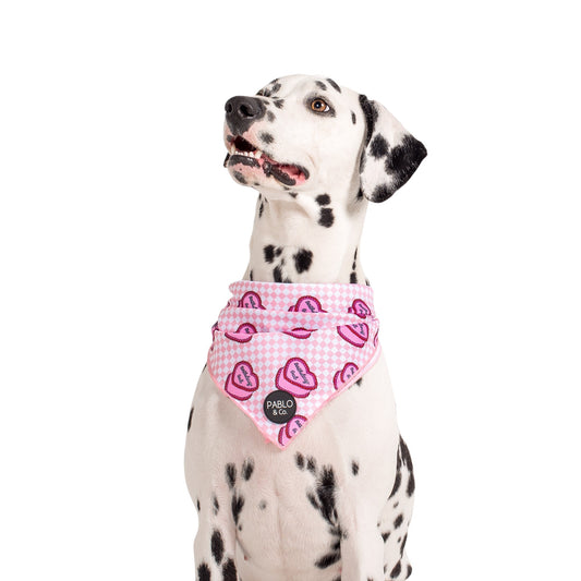 Birthday Gal - Dog Bandana