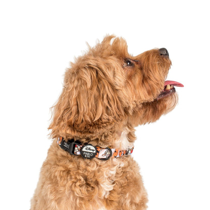 The One of a Kind Tigger: Dog Collar