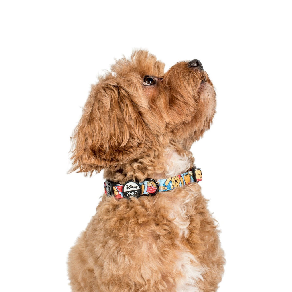Pooh's Balloons Dog Collar Pablo & Co. Boutique