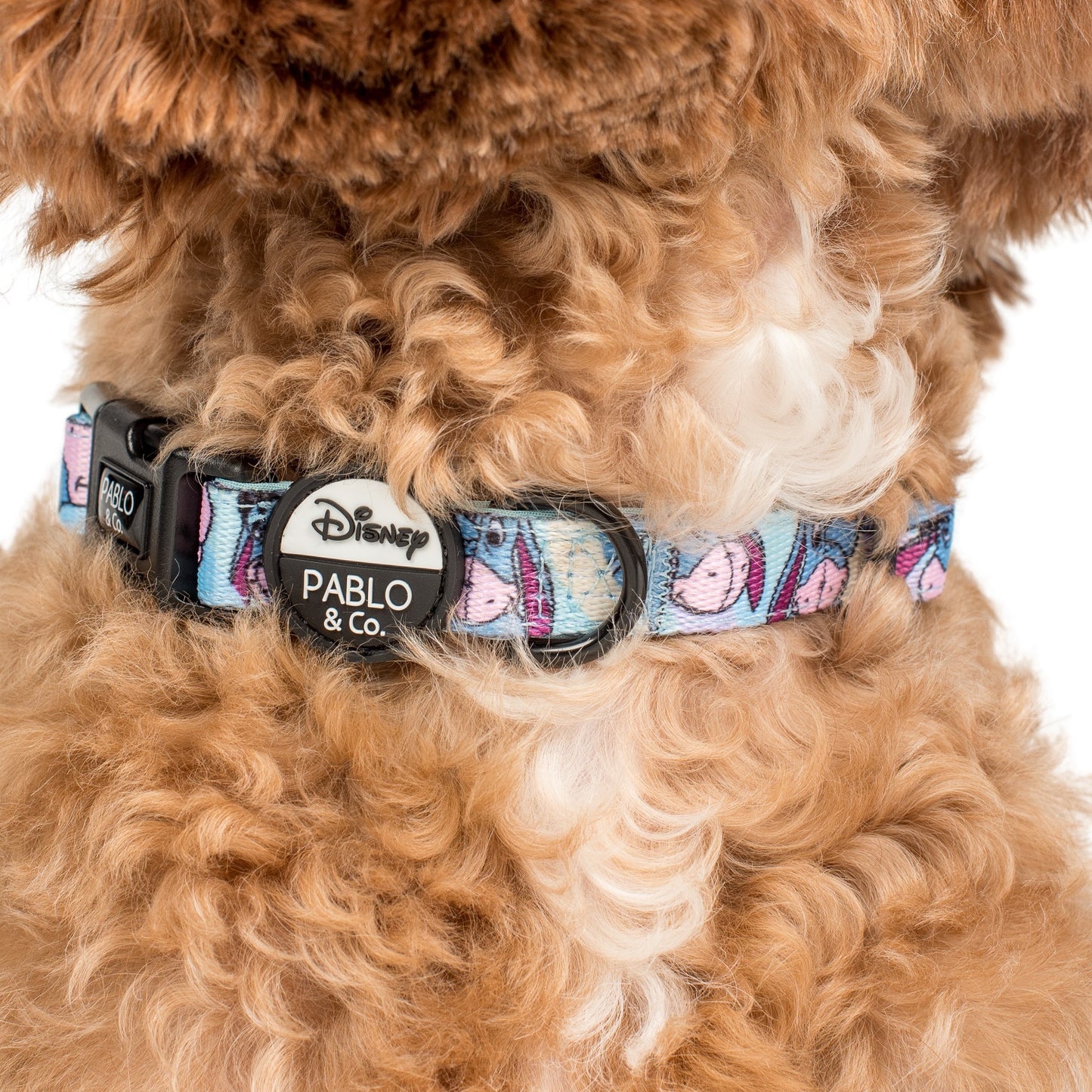 Eeyore: Dog Collar