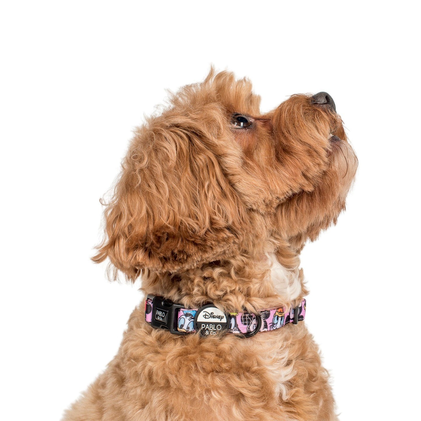 Mickey & Friends - Pink: Dog Collar